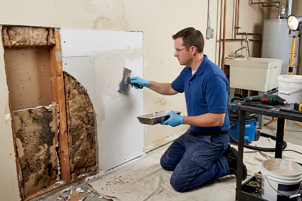 Mold and Drywall Repair Mercer Island