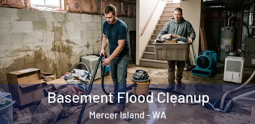  Basement Flood Cleanup Mercer Island - WA