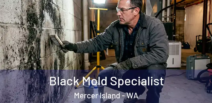 Black Mold Specialist Mercer Island - WA