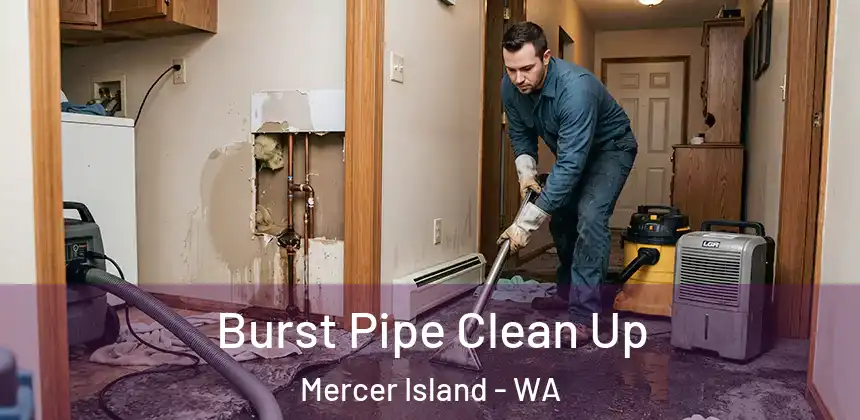  Burst Pipe Clean Up Mercer Island - WA