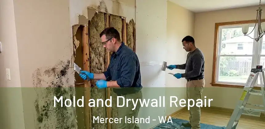  Mold and Drywall Repair Mercer Island - WA