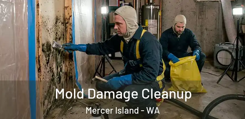  Mold Damage Cleanup Mercer Island - WA
