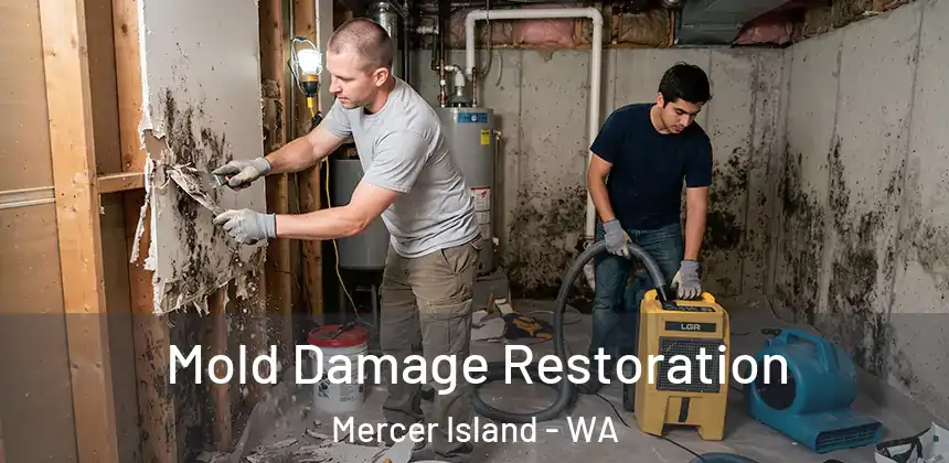  Mold Damage Restoration Mercer Island - WA