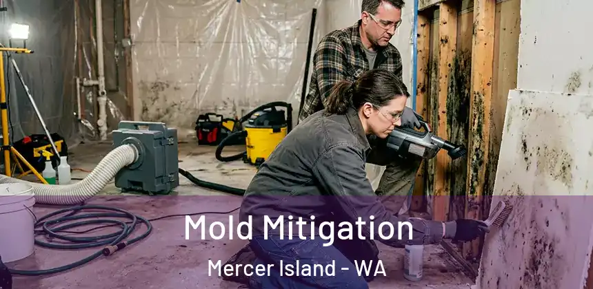  Mold Mitigation Mercer Island - WA
