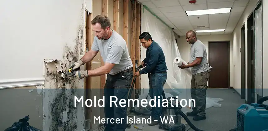  Mold Remediation Mercer Island - WA