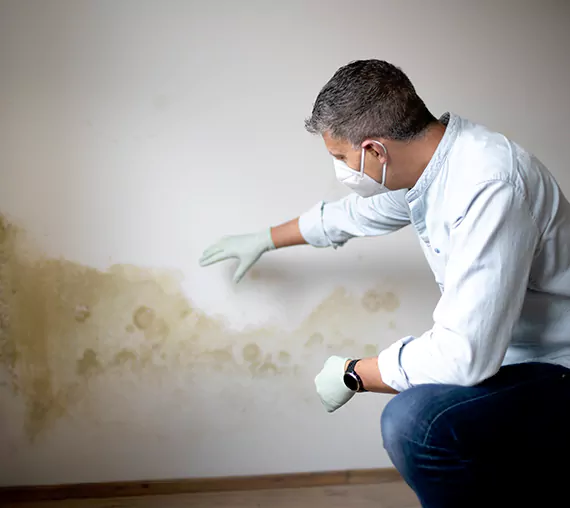 Mold Removal Service in Mercer Island, WA