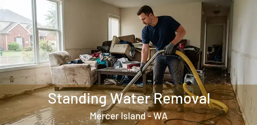 Standing Water Removal Mercer Island - WA