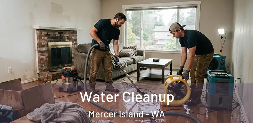  Water Cleanup Mercer Island - WA