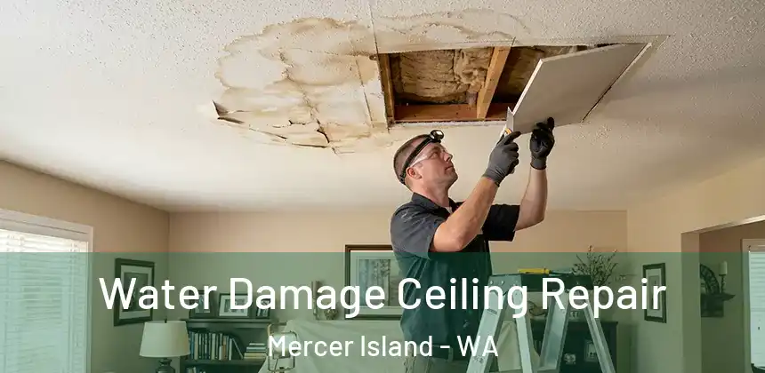 Water Damage Ceiling Repair Mercer Island - WA