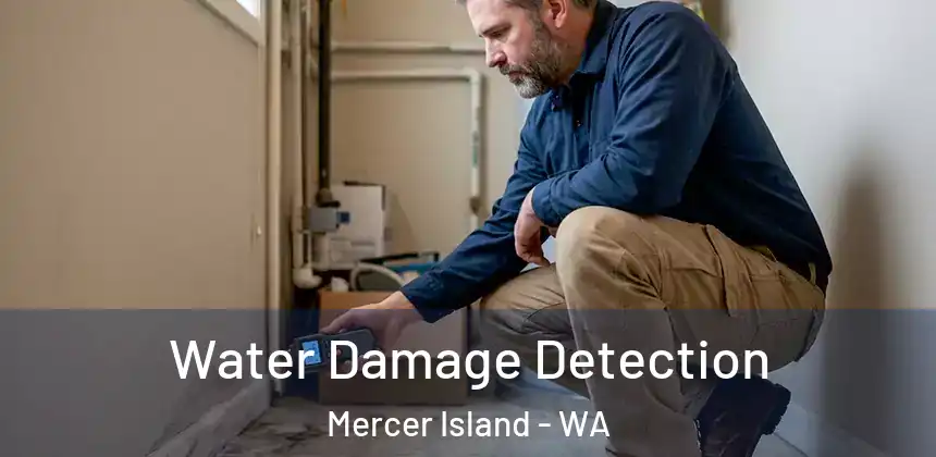  Water Damage Detection Mercer Island - WA