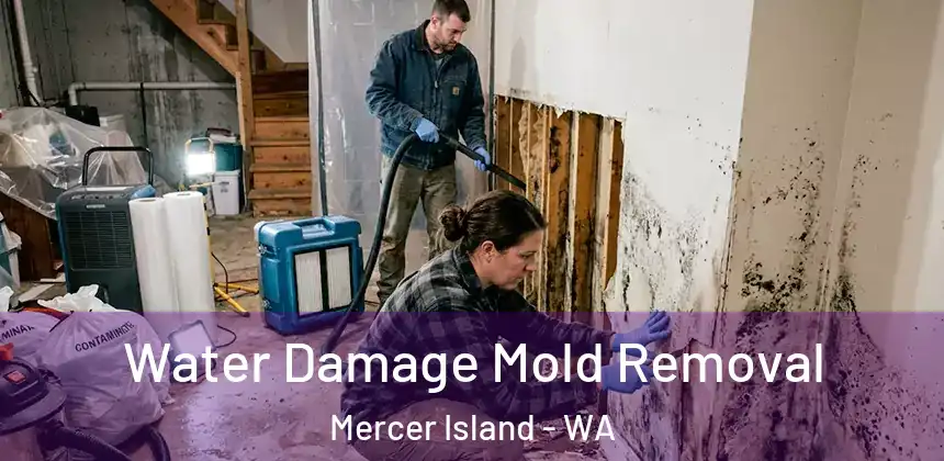  Water Damage Mold Removal Mercer Island - WA