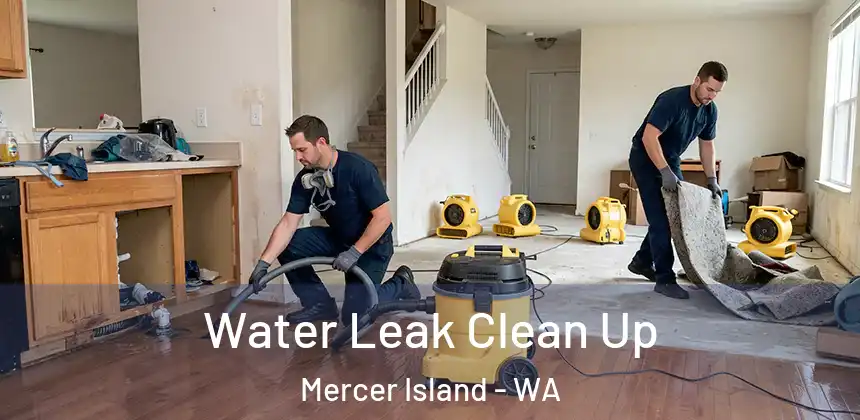  Water Leak Clean Up Mercer Island - WA