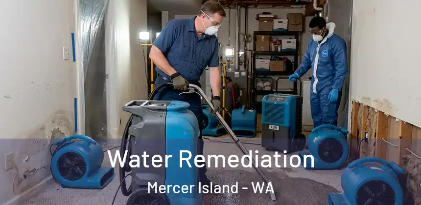  Water Remediation Mercer Island - WA