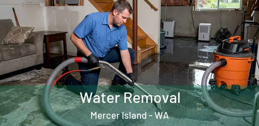  Water Removal Mercer Island - WA