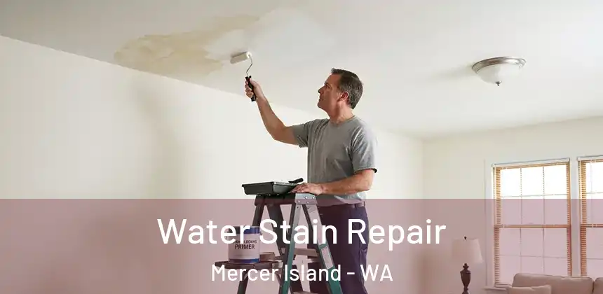  Water Stain Repair Mercer Island - WA